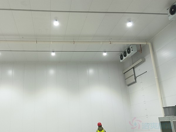 冷凍庫造價(jià)