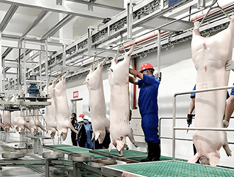 什么是屠宰冷庫(kù)？屠宰廠(chǎng)冷庫(kù)原理詳解