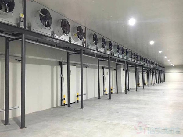 速凍冷庫(kù)建造