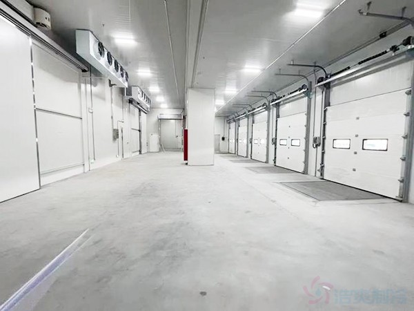 大型冷庫(kù)設(shè)計(jì)