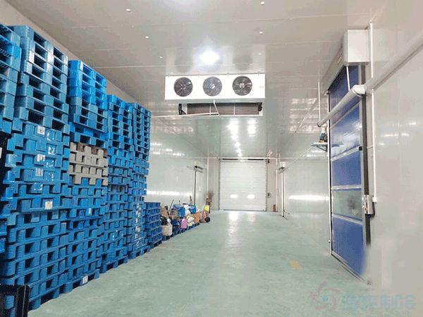 凍庫(kù)造價(jià)預(yù)算