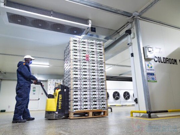 食品冷庫(kù)建設(shè)成本