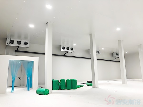 橙子冷庫建設(shè)