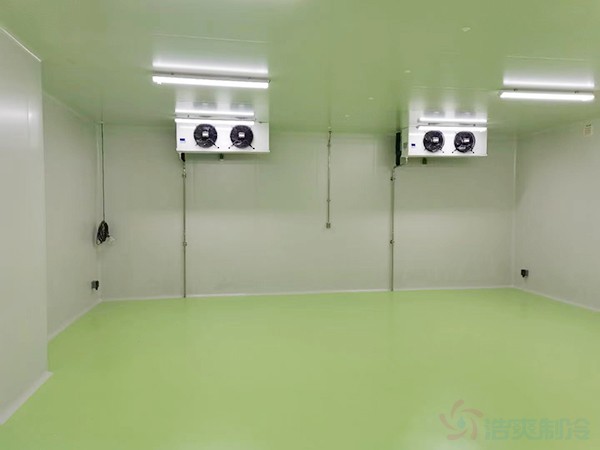 醫(yī)藥冷庫設(shè)計(jì)建造